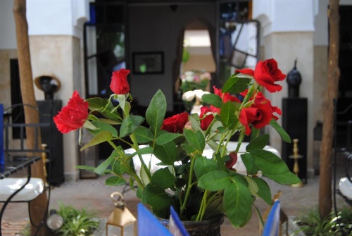 Riad dar Ourika image 43